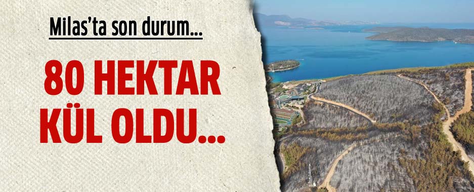 Havadan ekilen grntler yrekleri dalad